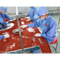 Ningxia Zhengyang Health Food Development Co., Ltd.